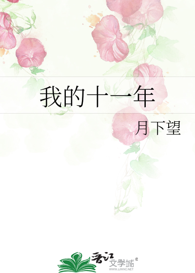 我的十一年