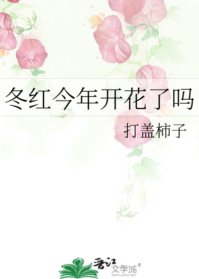 冬红今年开花了吗