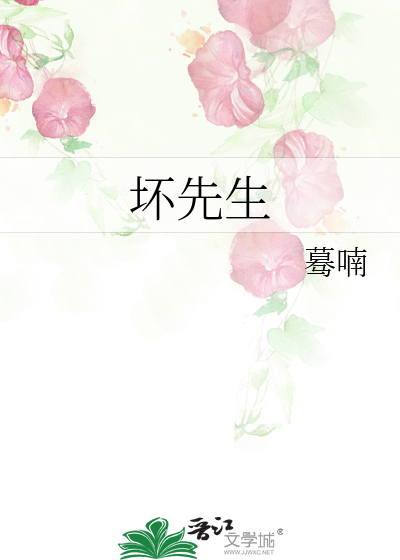 坏先生