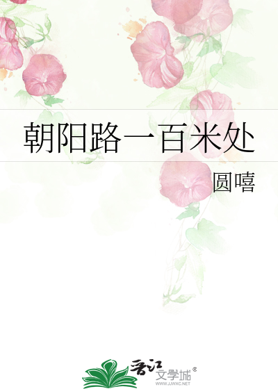 朝阳路一百米处