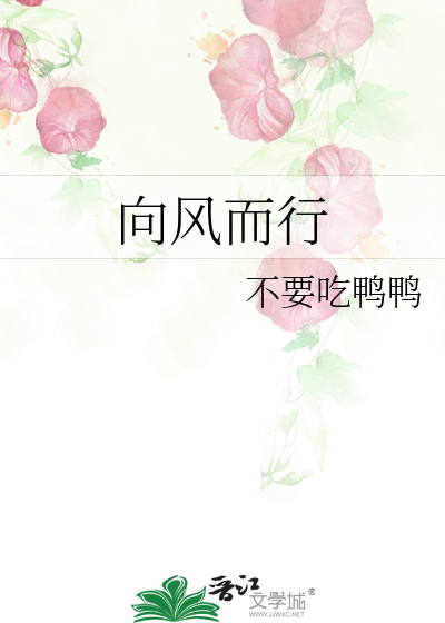 向风而行