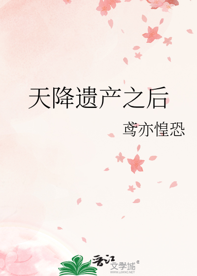 天降遗产之后