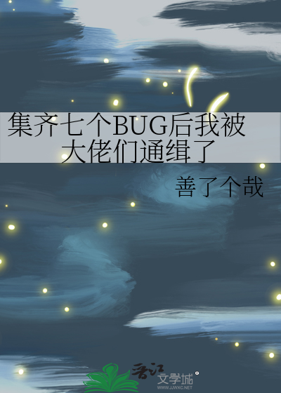 集齐七个BUG后我被大佬们通缉了