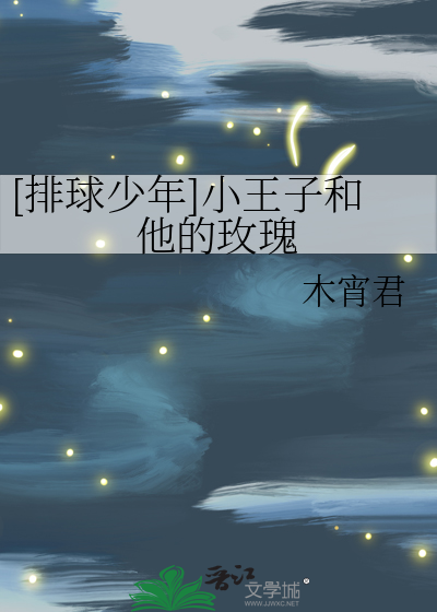 [排球少年]小王子和他的玫瑰