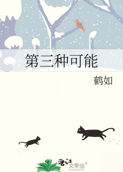 第三种可能