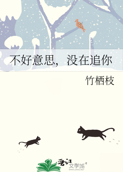 不好意思，没在追你