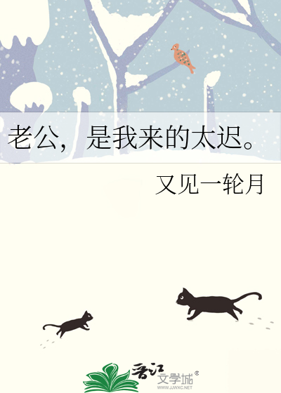 老公，是我来的太迟。