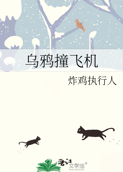 乌鸦撞飞机