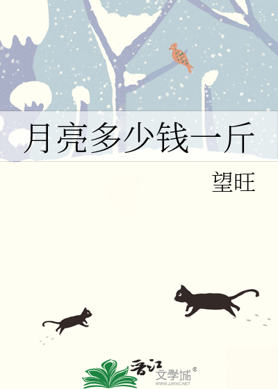 月亮多少钱一斤