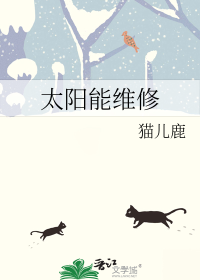 太阳能维修