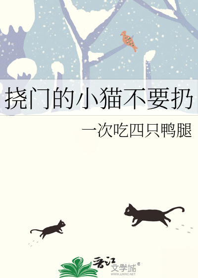 挠门的小猫不要扔