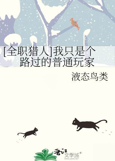 [全职猎人]我只是个路过的普通玩家