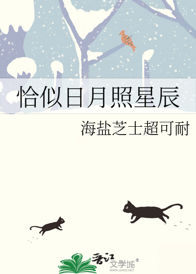恰似日月照星辰