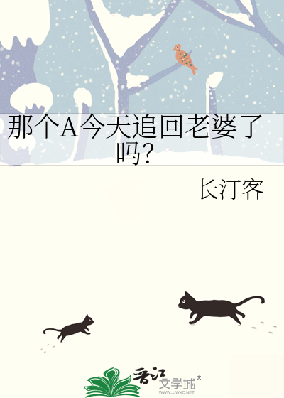 那个A今天追回老婆了吗？