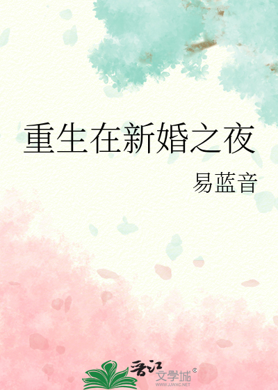 重生在新婚之夜