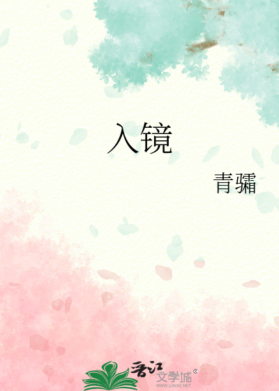 入镜