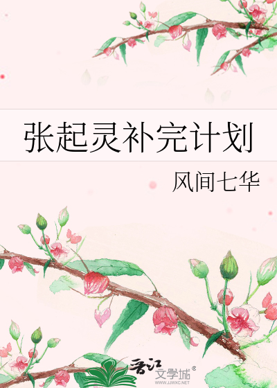 张起灵补完计划