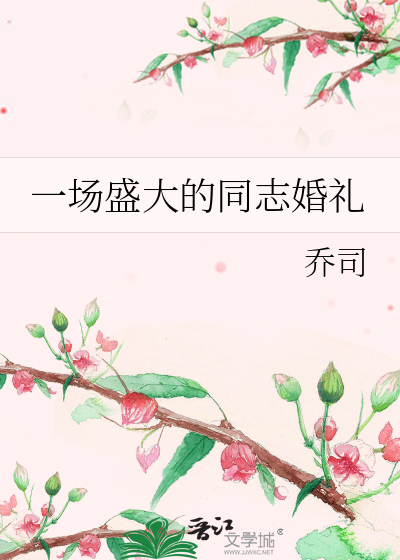 一场盛大的同志婚礼