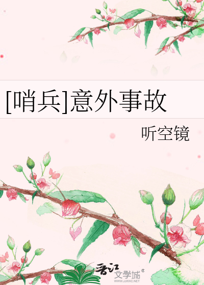 [哨兵]意外事故