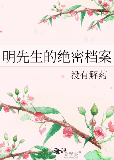 明先生的绝密档案
