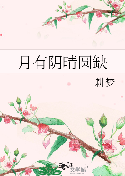 月有阴晴圆缺