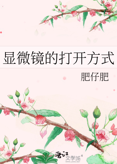 显微镜的打开方式