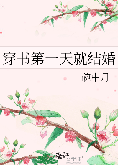 穿书第一天就结婚