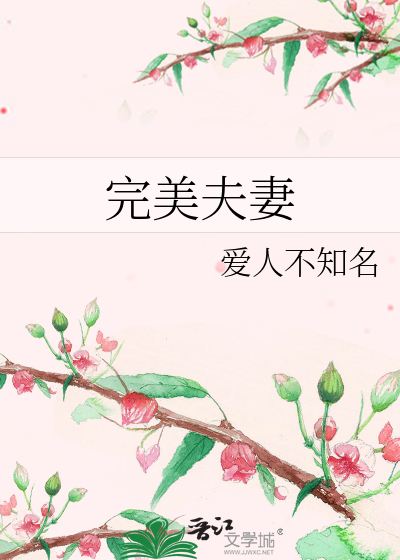 完美夫妻