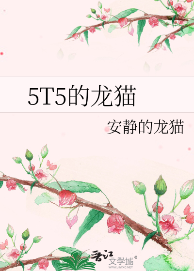 5T5的龙猫