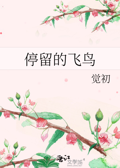 停留的飞鸟