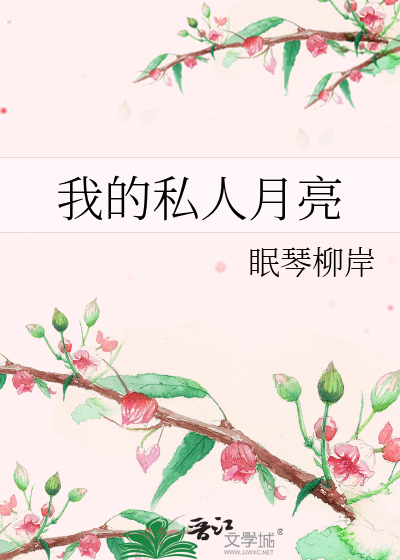 我的私人月亮