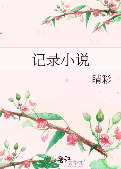 记录小说