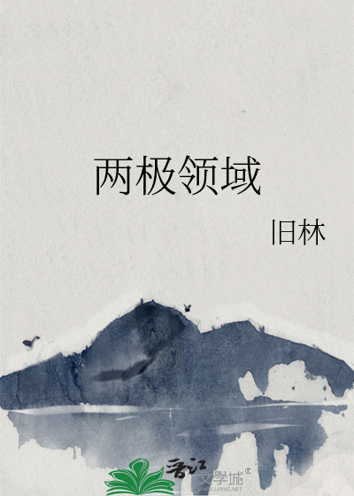 两极领域