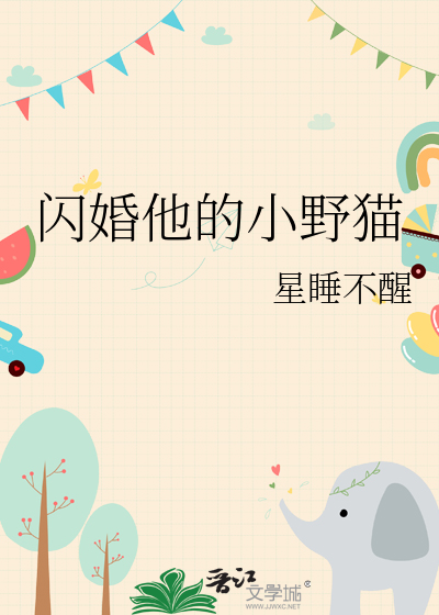 闪婚他的小野猫