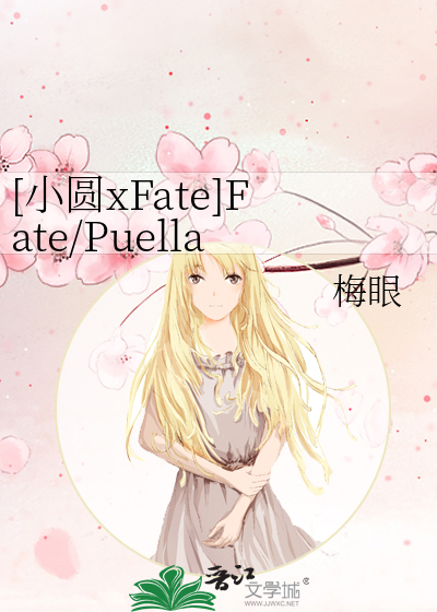 [小圆xFate]Fate/Puella Magi