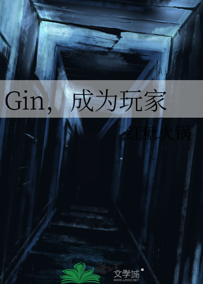 Gin，成为玩家