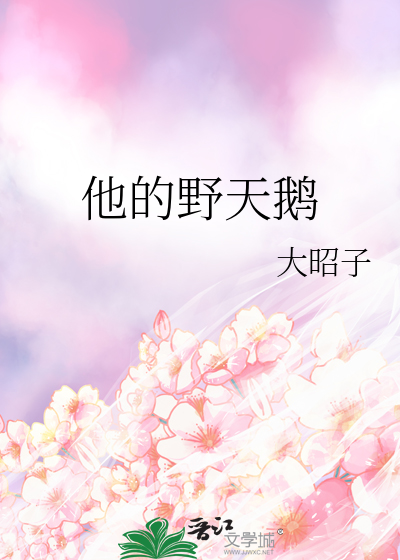 他的野天鹅