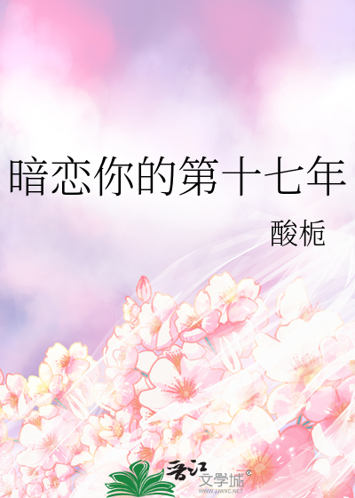 暗恋你的第十七年