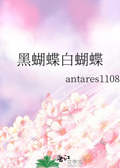 黑蝴蝶白蝴蝶