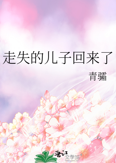 走失的儿子回来了