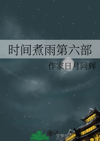 时间煮雨第六部