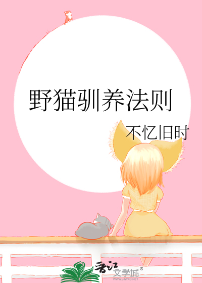野猫驯养法则