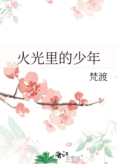火光里的少年