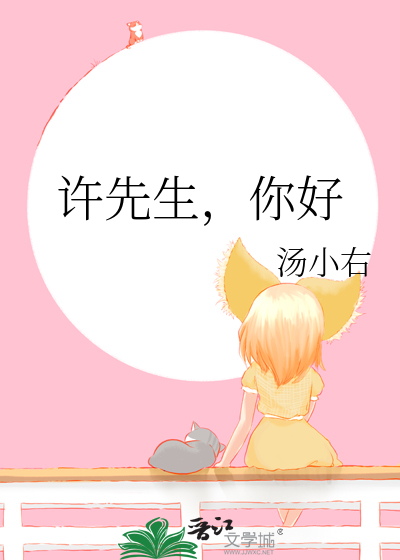许先生，你好