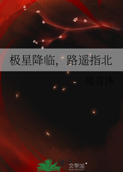 极星降临，路遥指北