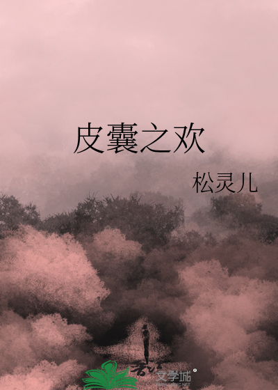 皮囊之欢