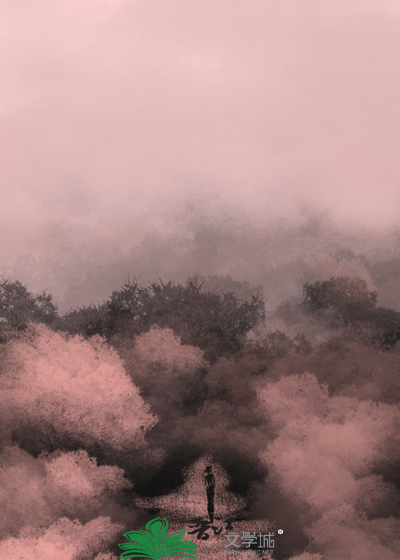 [综韩]菟丝花