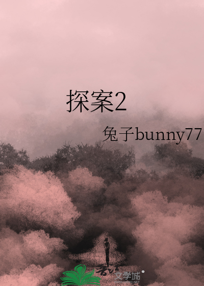 探案2