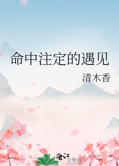命中注定的遇见