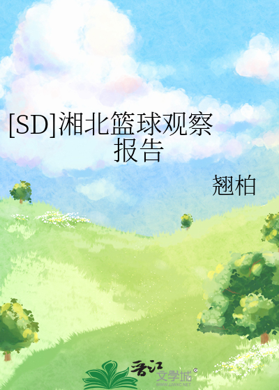 [SD]湘北篮球观察报告
